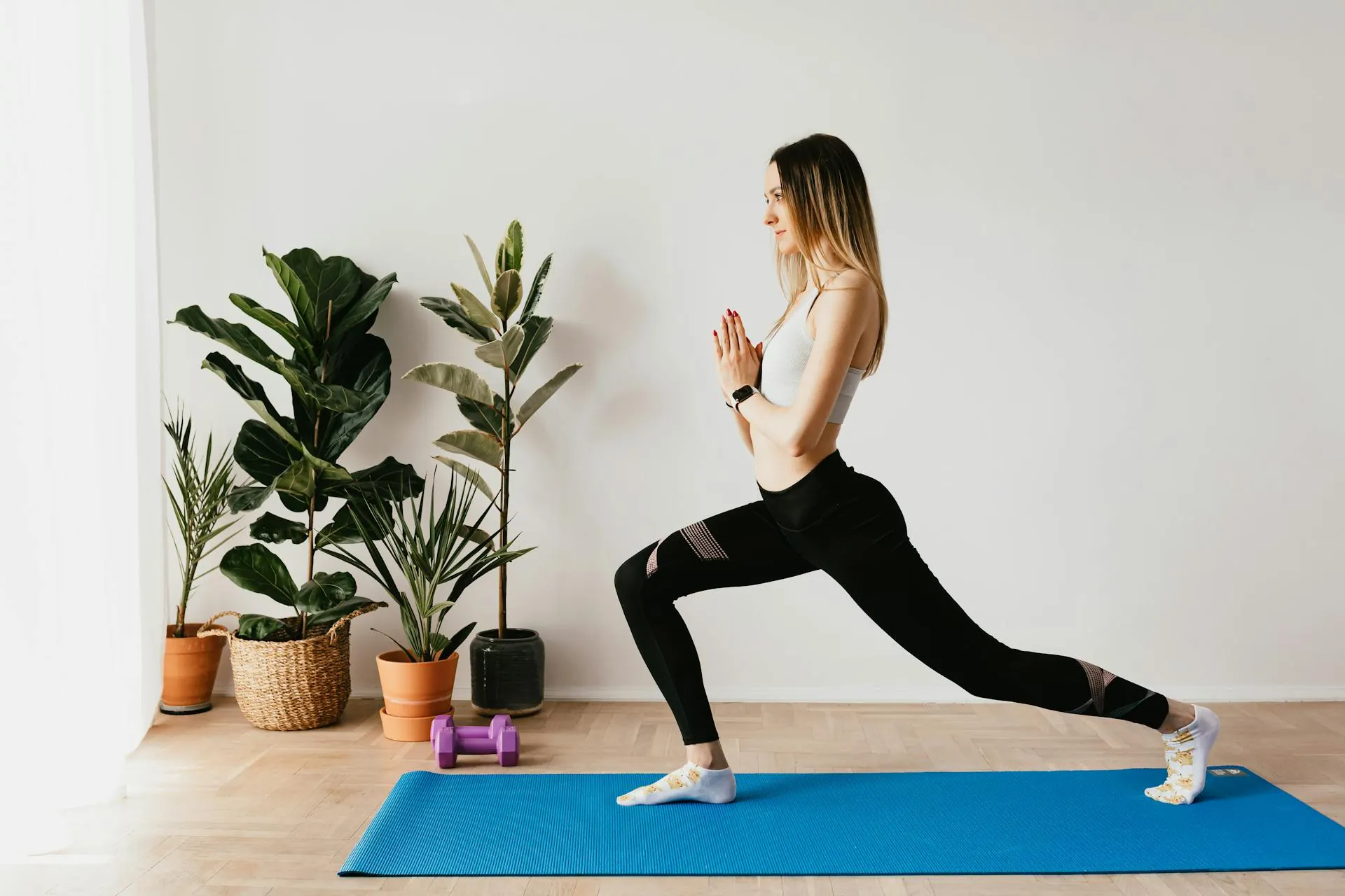 Alimentación balanceada y metabólicamente estable